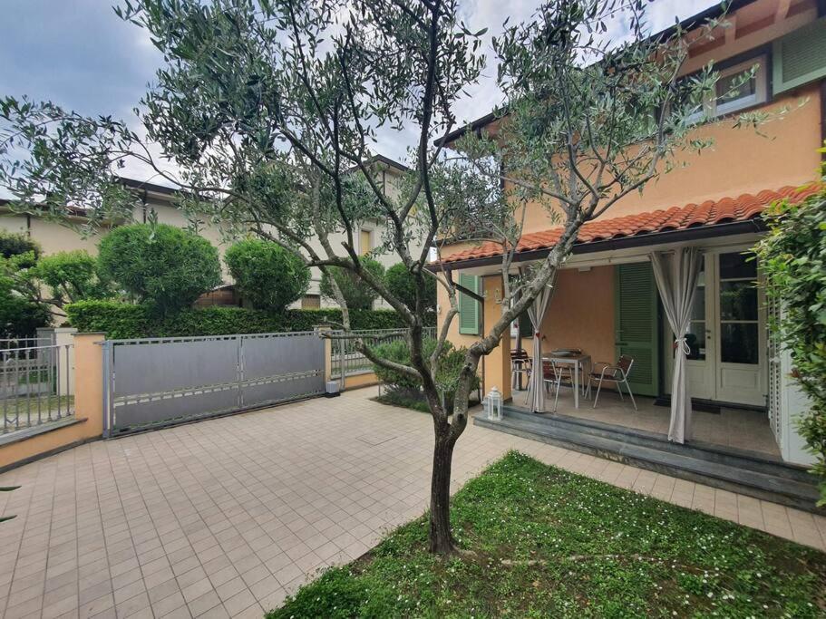 La Casa Di Elena Versilia - Two Apartment Marina di Pietrasanta